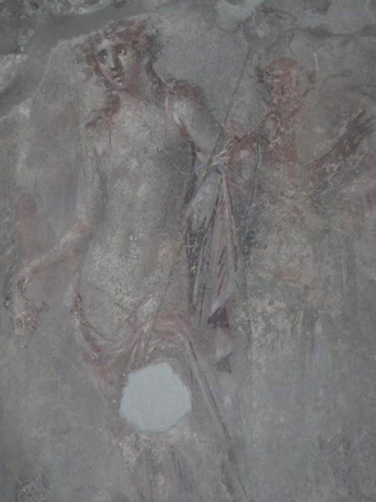 I.11.6 Pompeii. May 2015. Room 5, south wall of tablinum. Detail from wall painting of Dionysus. Photo courtesy of Buzz Ferebee.