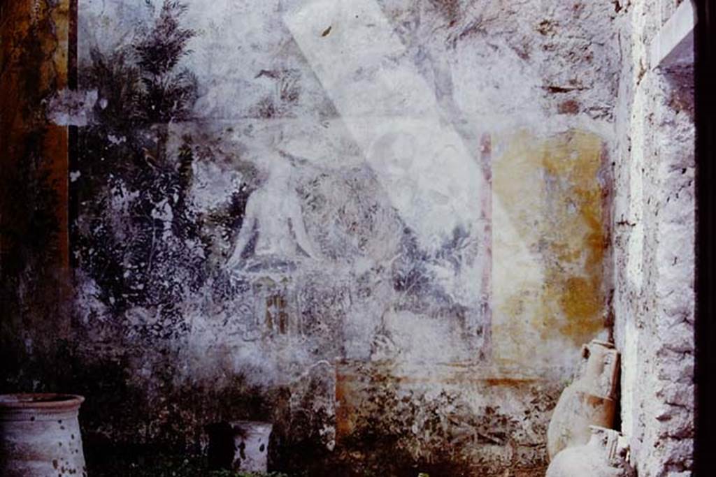 I.11.6 Pompeii. 1972. Room 6, west wall of garden area. Photo by Stanley A. Jashemski.
Source: The Wilhelmina and Stanley A. Jashemski archive in the University of Maryland Library, Special Collections (See collection page) and made available under the Creative Commons Attribution-Non Commercial License v.4. See Licence and use details. J72f0494