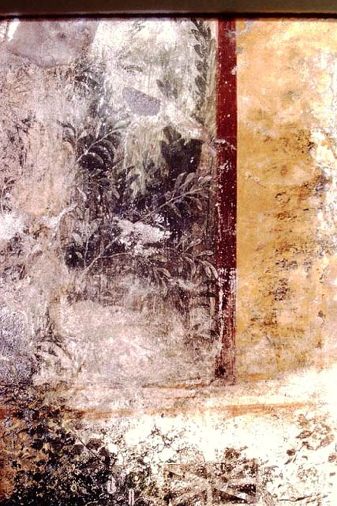 I.11.6 Pompeii. 1972. Room 6, detail from north end of west wall of garden area. Photo by Stanley A. Jashemski.
Source: The Wilhelmina and Stanley A. Jashemski archive in the University of Maryland Library, Special Collections (See collection page) and made available under the Creative Commons Attribution-Non Commercial License v.4. See Licence and use details. J72f0492