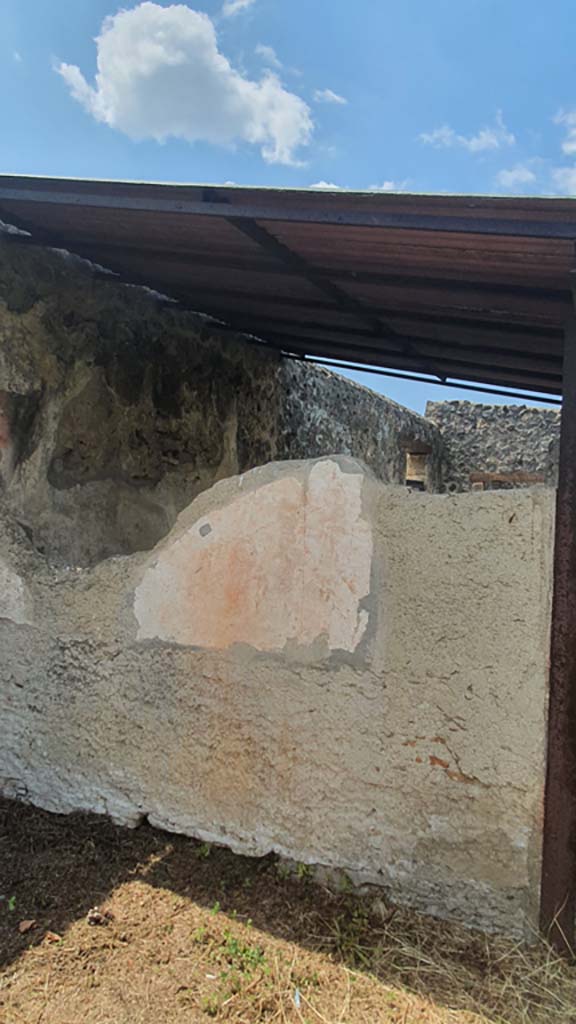 I.11.10 Pompeii. July 2021.
West wall of small room, detail of remaining painted plaster.
Foto Annette Haug, ERC Grant 681269 DÉCOR.