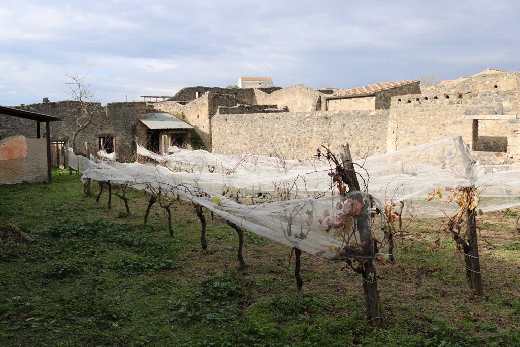 I.11.10 Pompeii. December 2018. Looking towards north-west side of garden area. Photo courtesy of Aude Durand.