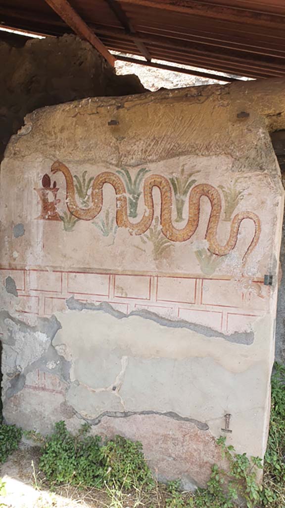 I.11.10 Pompeii. July 2021. Detail of painted serpent from south wall of latrine.
Foto Annette Haug, ERC Grant 681269 DÉCOR.