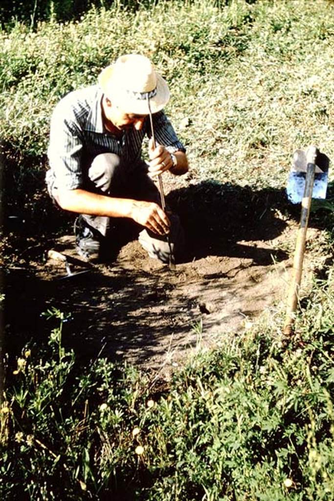 I.11.10 Pompeii. 1964. Once the cavity is found just below the original ground level and already filled with lapilli, it is dug out using a rod with a spoon-shaped tip, or long tongs with simlar tip. Wilhelmina joked that sometimes the human hand was also a good tool. Photo by Stanley A. Jashemski.
Source: The Wilhelmina and Stanley A. Jashemski archive in the University of Maryland Library, Special Collections (See collection page) and made available under the Creative Commons Attribution-Non Commercial License v.4. See Licence and use details.
J64f1456
