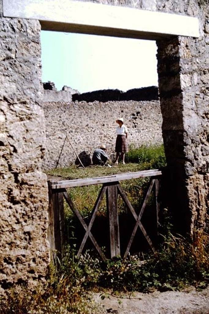 I.11.10 Pompeii. 1964. Looking through entrance doorway to garden area, working near the north wall. Photo by Stanley A. Jashemski.
Source: The Wilhelmina and Stanley A. Jashemski archive in the University of Maryland Library, Special Collections (See collection page) and made available under the Creative Commons Attribution-Non Commercial License v.4. See Licence and use details.
J64f1465
