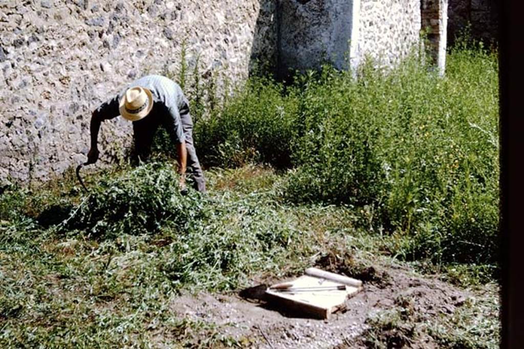I.11.10 Pompeii. 1964. Clearing the next area near the north wall. Photo by Stanley A. Jashemski.
Source: The Wilhelmina and Stanley A. Jashemski archive in the University of Maryland Library, Special Collections (See collection page) and made available under the Creative Commons Attribution-Non Commercial License v.4. See Licence and use details.
J64f1488