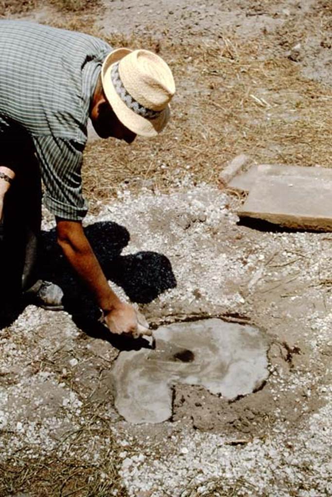 I.11.10 Pompeii. 1964. Final smoothing off, before leaving for three days to harden. Photo by Stanley A. Jashemski.
Source: The Wilhelmina and Stanley A. Jashemski archive in the University of Maryland Library, Special Collections (See collection page) and made available under the Creative Commons Attribution-Non Commercial License v.4. See Licence and use details.
J64f1696