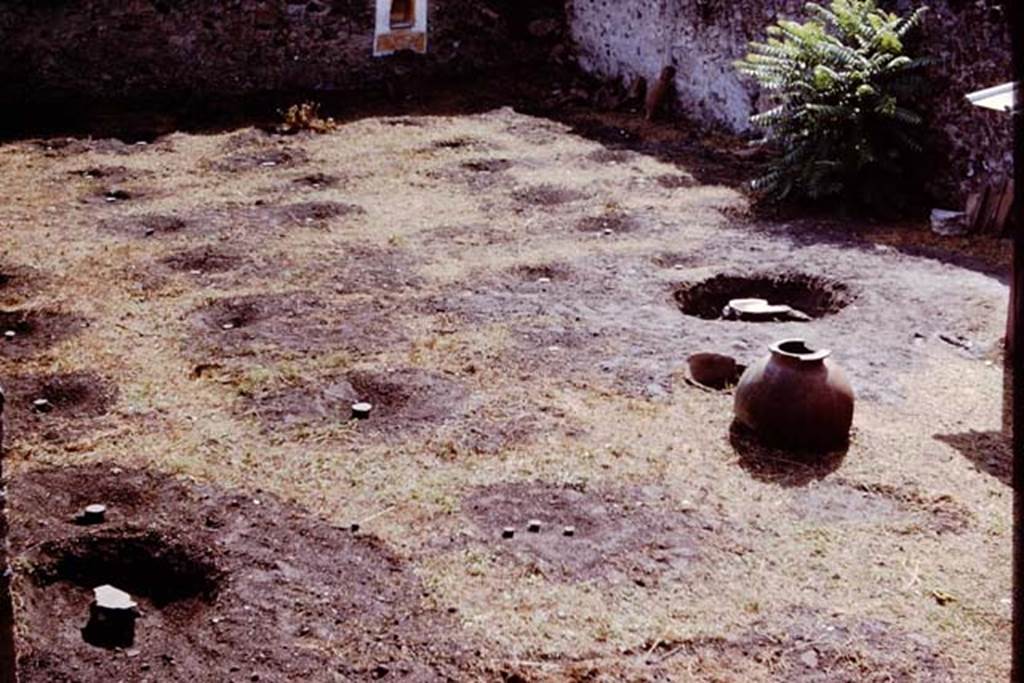 I.11.10 Pompeii. 1964. Looking south-east across garden area, showing the position of the root cavities. Photo by Stanley A. Jashemski.
Source: The Wilhelmina and Stanley A. Jashemski archive in the University of Maryland Library, Special Collections (See collection page) and made available under the Creative Commons Attribution-Non Commercial License v.4. See Licence and use details.
J64f1939
