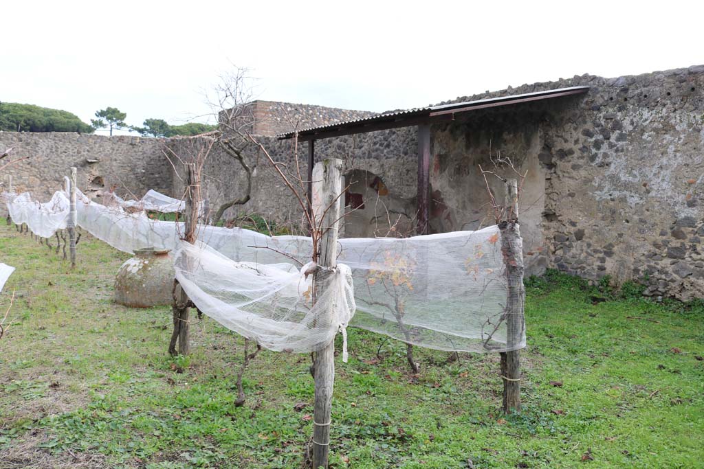 I.11.10 Pompeii. December 2018. Looking south-east across garden area. Photo courtesy of Aude Durand.