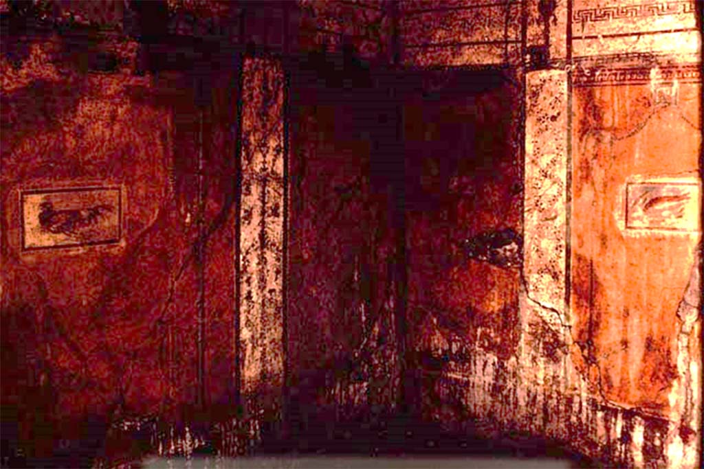 I.11.11 Pompeii. 1964. West wall, north-west corner, and north wall of room on north side of thermopolium.
Photo by Stanley A. Jashemski.
Source: The Wilhelmina and Stanley A. Jashemski archive in the University of Maryland Library, Special Collections (See collection page) and made available under the Creative Commons Attribution-Non-Commercial License v.4. See Licence and use details.
J64f1794