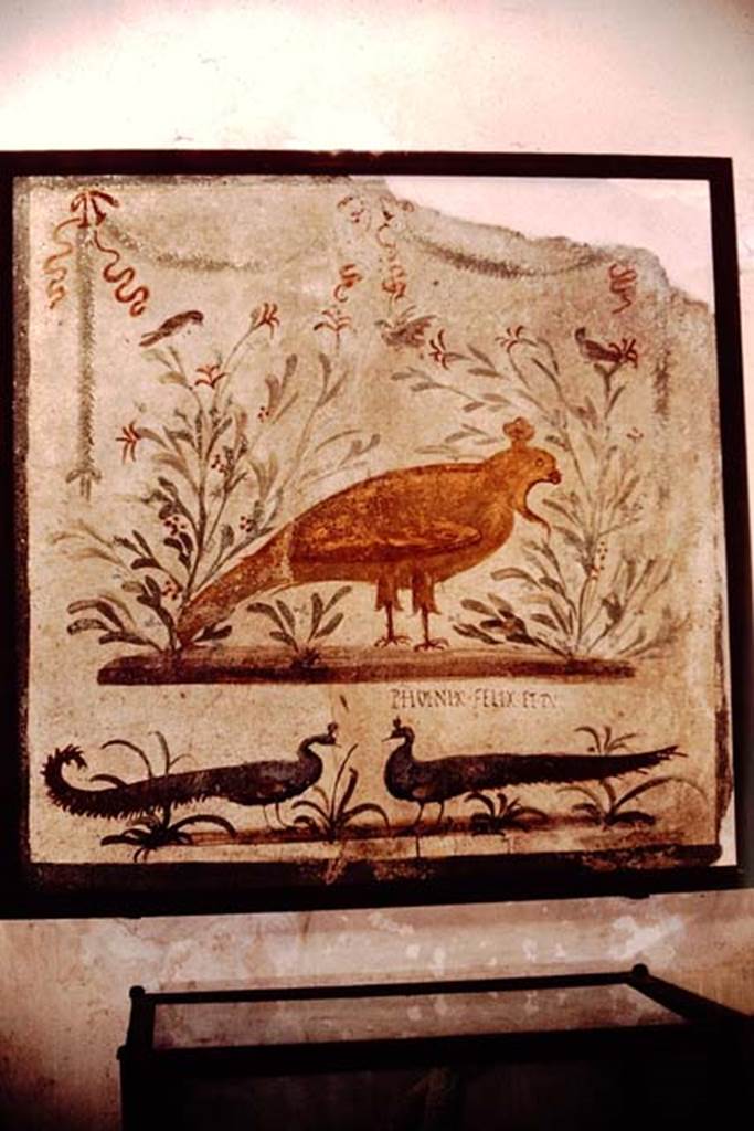 I.11.11 Pompeii. 1964. Phoenix inn sign, in Naples Museum. Photo by Stanley A. Jashemski.
Source: The Wilhelmina and Stanley A. Jashemski archive in the University of Maryland Library, Special Collections (See collection page) and made available under the Creative Commons Attribution-Non Commercial License v.4. See Licence and use details.
J64f1817