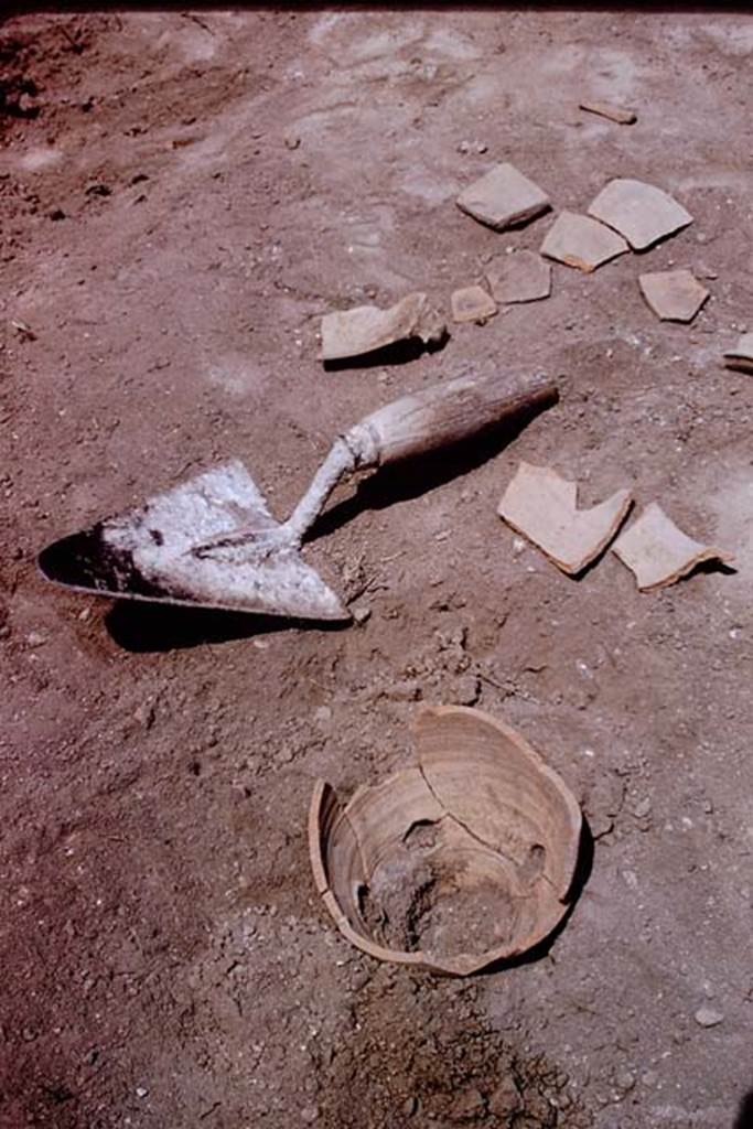 I.11.14 Pompeii. 1966. Planting pot. It had a large hole 4cm in diameter in its base, and 4 holes about 1,5cm in diameter on the sides. The preserved height was 12 cm.
See Jashemski, W. F., 1993. The Gardens of Pompeii, Volume II: Appendices. New York: Caratzas. (p.52). Photo by Stanley A. Jashemski.
Source: The Wilhelmina and Stanley A. Jashemski archive in the University of Maryland Library, Special Collections (See collection page) and made available under the Creative Commons Attribution-Non Commercial License v.4. See Licence and use details.
J66f0514