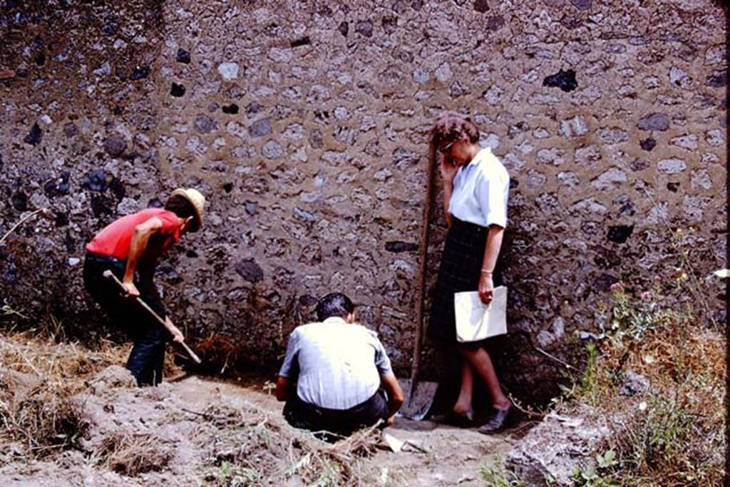 I.11.14 Pompeii. 1966. Starting to clear and excavating near the east wall. As they continued their excavations, they found most of the garden had been overgrown with large bushes, which had destroyed the ancient root cavities. So they returned to one of the other garden areas. Photo by Stanley A. Jashemski.
Source: The Wilhelmina and Stanley A. Jashemski archive in the University of Maryland Library, Special Collections (See collection page) and made available under the Creative Commons Attribution-Non Commercial License v.4. See Licence and use details.
J66f0509
