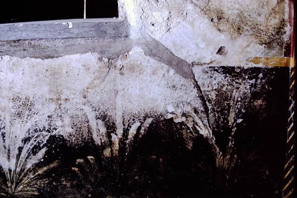 I.11.16 Pompeii, 1968. Remains of painted zoccolo on west wall in north-west corner.
Photo by Stanley A. Jashemski.
Source: The Wilhelmina and Stanley A. Jashemski archive in the University of Maryland Library, Special Collections (See collection page) and made available under the Creative Commons Attribution-Non Commercial License v.4. See Licence and use details. J68f1290