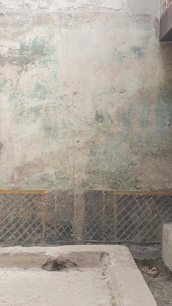 I.11.16 Pompeii. July 2021. Room 6, detail from lower east wall at south end.
Foto Annette Haug, ERC Grant 681269 DÉCOR.