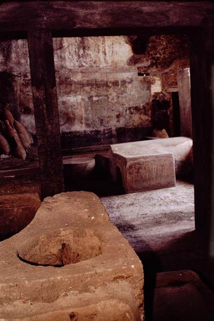 I.11.16 Pompeii. 1964. Looking east towards the larger of the two openings in the bar-counter. Photo by Stanley A. Jashemski.
Source: The Wilhelmina and Stanley A. Jashemski archive in the University of Maryland Library, Special Collections (See collection page) and made available under the Creative Commons Attribution-Non Commercial License v.4. See Licence and use details.
J64f1813