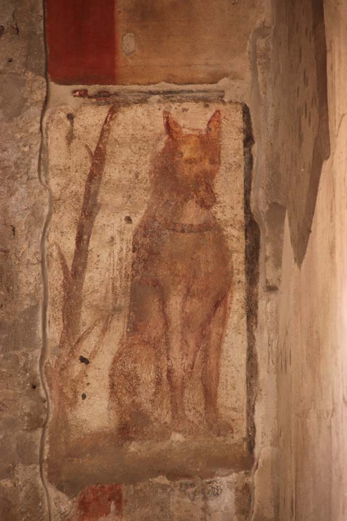 I.12.3 Pompeii, September 2019. Room 1, detail of dog on pillar.
Photo courtesy of Klaus Heese.