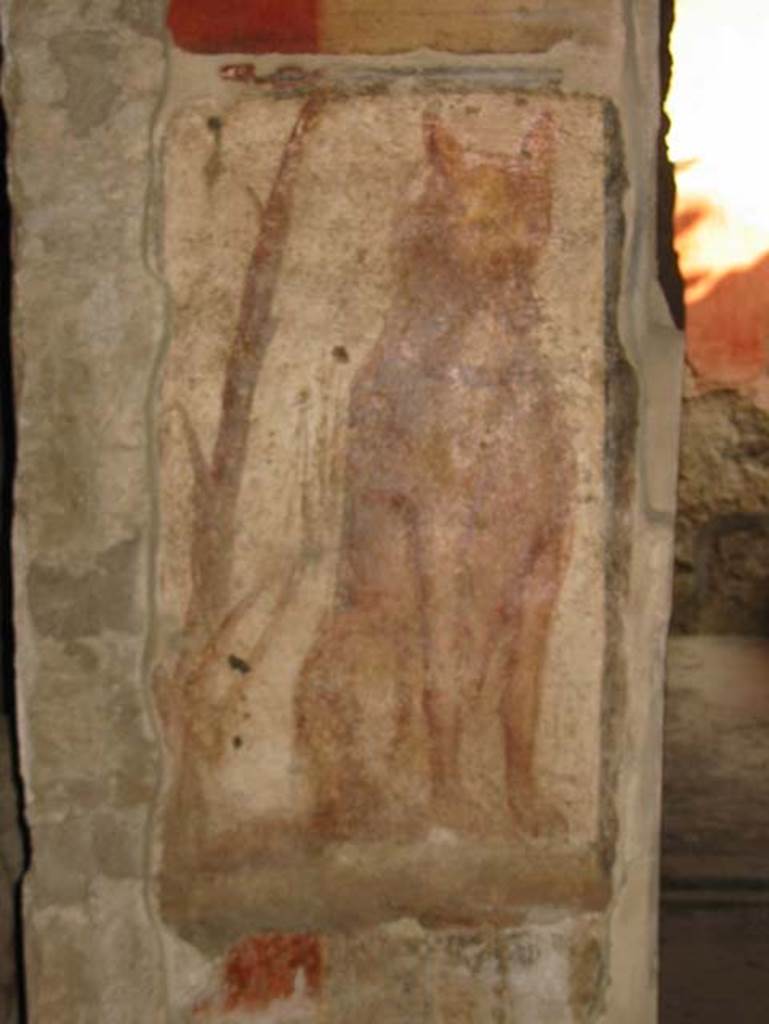 I.12.3 Pompeii. May 2003. Room 1, portrait of dog on pillar.
Photo courtesy of Nicolas Monteix.