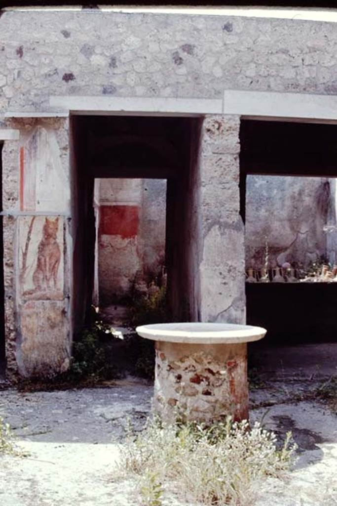 I.12.3 Pompeii, 1968. Room 1, looking south to rear. Photo by Stanley A. Jashemski.
Source: The Wilhelmina and Stanley A. Jashemski archive in the University of Maryland Library, Special Collections (See collection page) and made available under the Creative Commons Attribution-Non Commercial License v.4. See Licence and use details.
J68f0754