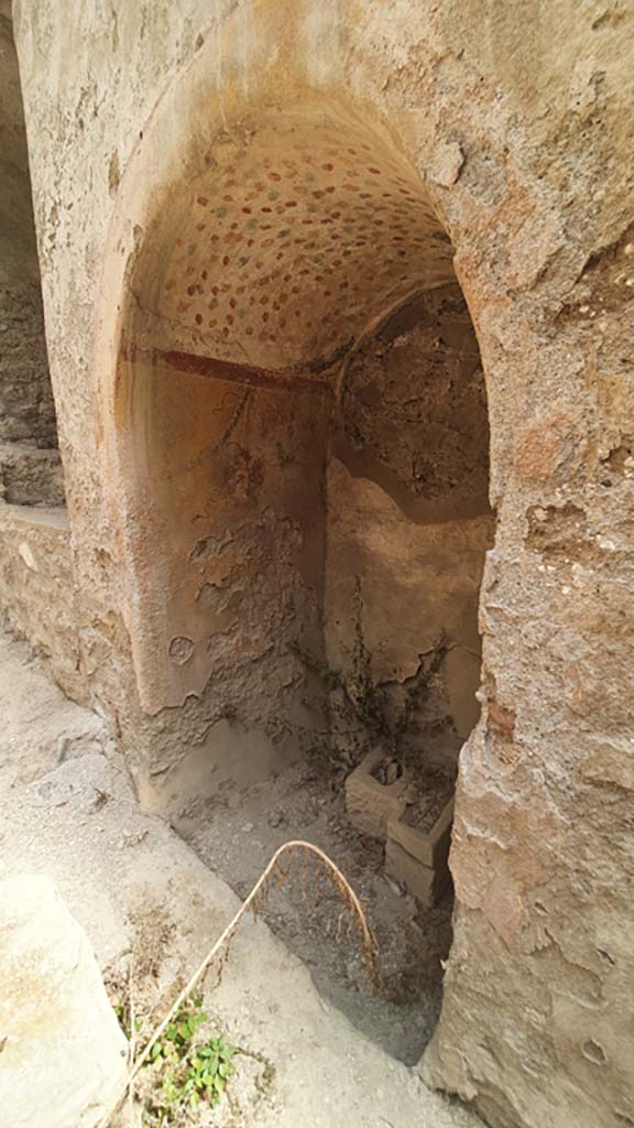 I.12.5 Pompeii. July 2021. Looking towards north side of painted lararium.
Foto Annette Haug, ERC Grant 681269 DÉCOR.