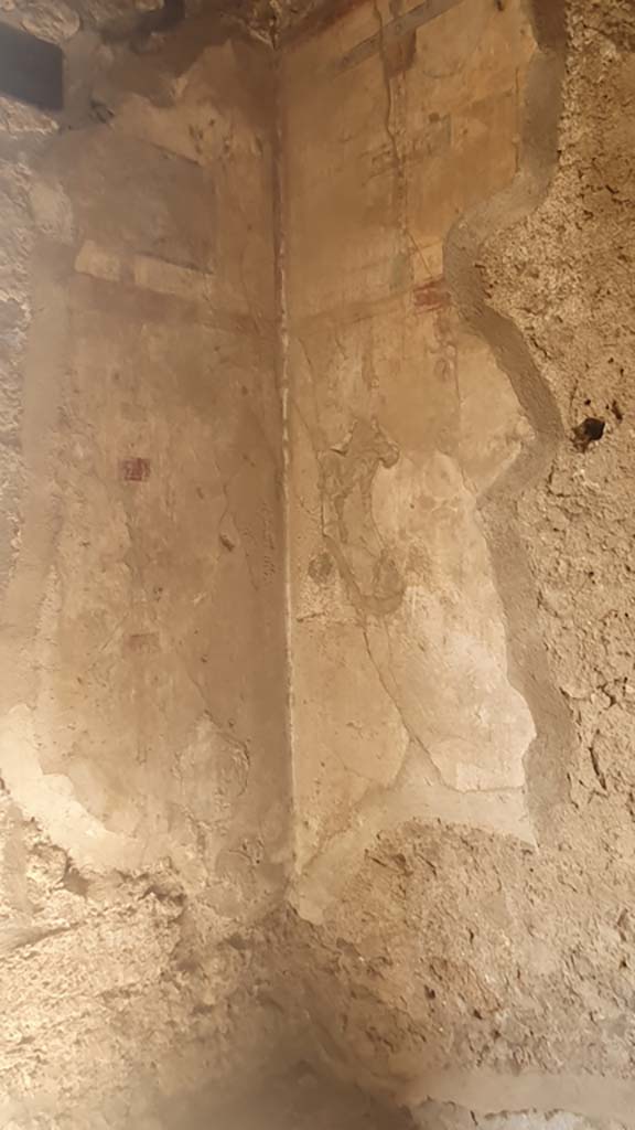 I.12.5 Pompeii. July 2021. Detail of south-west corner of cubiculum.
Foto Annette Haug, ERC Grant 681269 DÉCOR.