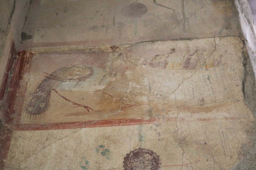 I.12.5 Pompeii. December 2018.
Detail of painted decoration on north wall of cubiculum, on west side of window. Photo courtesy of Aude Durand.
According to PPM –
this shows a still life hanging from a pillar adorned with two medallions, depicting a peacock and a basket covered with a striped cloth.
See Carratelli, G. P., 1990-2003. Pompei: Pitture e Mosaici. Vol. II. Roma: Istituto della enciclopedia italiana, p.741, no.10.
(Note: the description in PPM says the north wall of the cubiculum (5), whereas in fact they mean cubiculum (6), the room on the west side of the caupona/bar-room, according to their plan.)