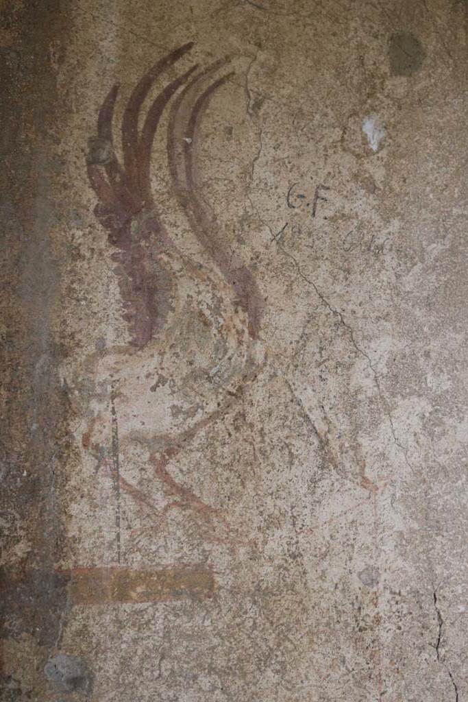 I.12.5 Pompeii. December 2018.
Detail from painted decoration on west side of north wall of cubiculum. Photo courtesy of Aude Durand.
