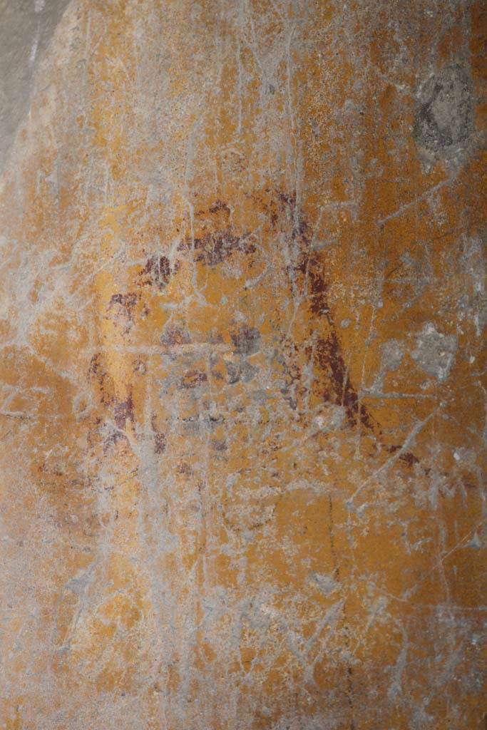 I.12.5 Pompeii. December 2018.
Detail of remaining painted decoration from north end of west wall of bar-room. Photo courtesy of Aude Durand.