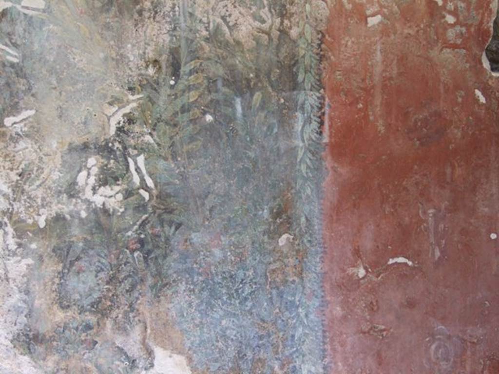 I.12.8 Pompeii. March 2009. Room 9, details of painted plants on east side of north wall with garden painting.