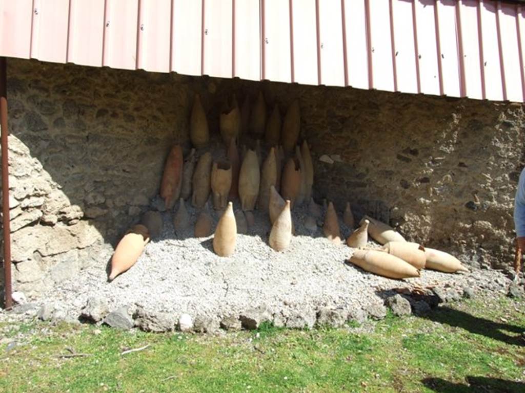 I.12.8 Pompeii. March 2009. Room 13. Rear garden. Remains of excavated amphorae.