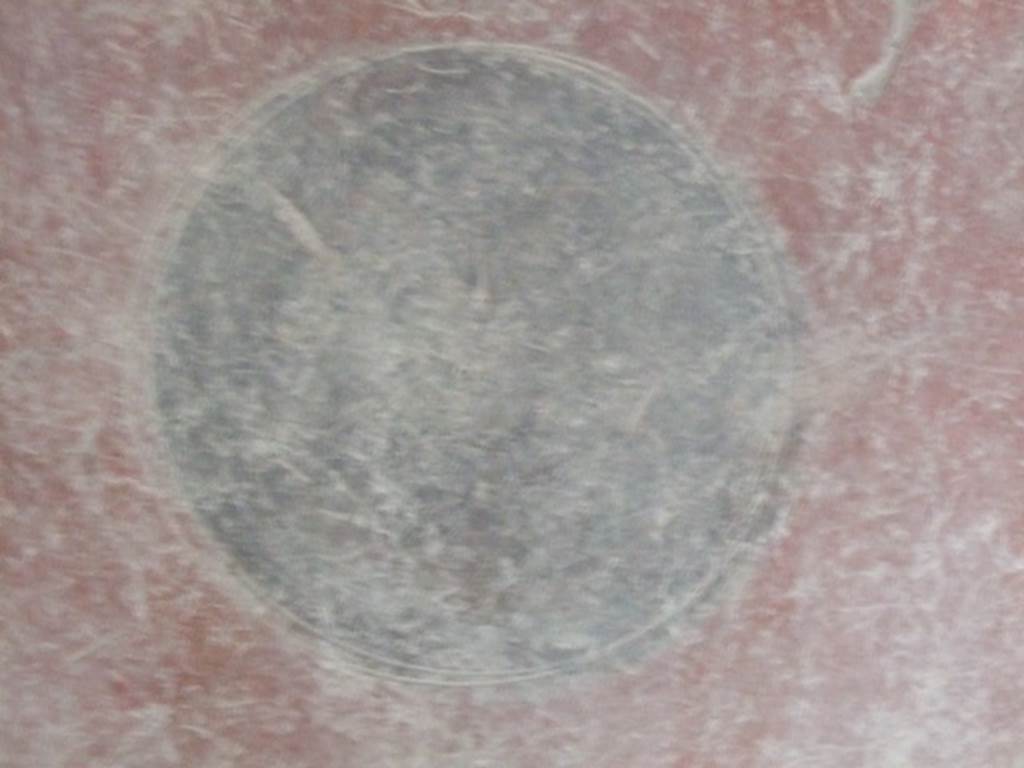 I.12.11. December 2007. Room east of the garden area. Round painted medallion panel.