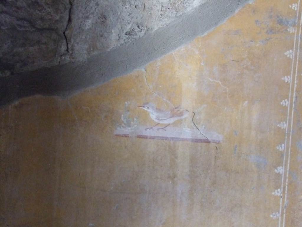 I.12.11 Pompeii. December 2007. Small bird on painted panel from east wall of oecus on the south side of the doorway.