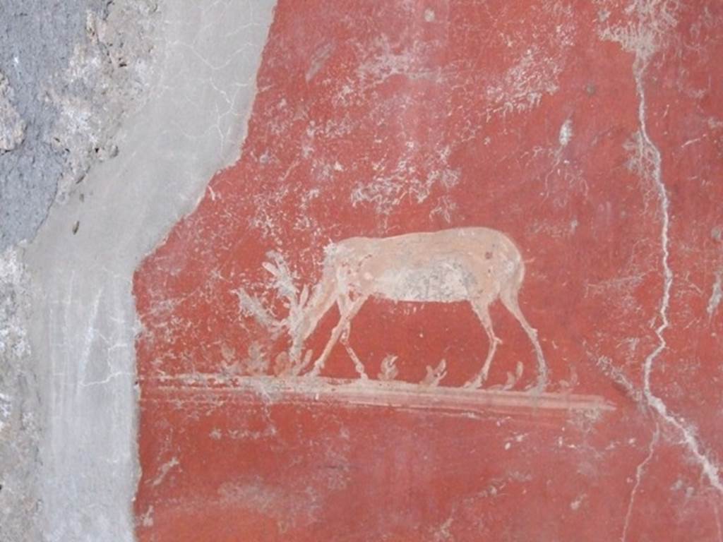 I.12.11 Pompeii. December 2007. Triclinium on the west side of the tablinum area. Painted stag.
