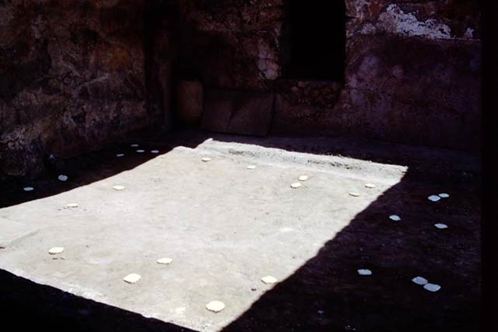 I.12.11 Pompeii. 1975. Looking towards north-east corner of garden area, and east wall with window. Photo by Stanley A. Jashemski.
Source: The Wilhelmina and Stanley A. Jashemski archive in the University of Maryland Library, Special Collections (See collection page) and made available under the Creative Commons Attribution-Non Commercial License v.4. See Licence and use details. J75f0386