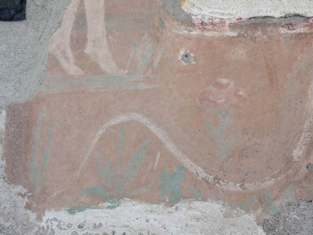 I.12.15 Pompeii. March 2009. Room 5, painted plants and white serpent from north end beneath the niche.