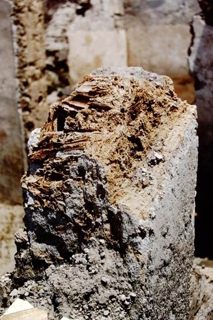 I.12.16 Pompeii. 1961. Remains of donkey bones in the lapilli. Photo by Stanley A. Jashemski.
Source: The Wilhelmina and Stanley A. Jashemski archive in the University of Maryland Library, Special Collections (See collection page) and made available under the Creative Commons Attribution-Non Commercial License v.4. See Licence and use details.
J61f0234