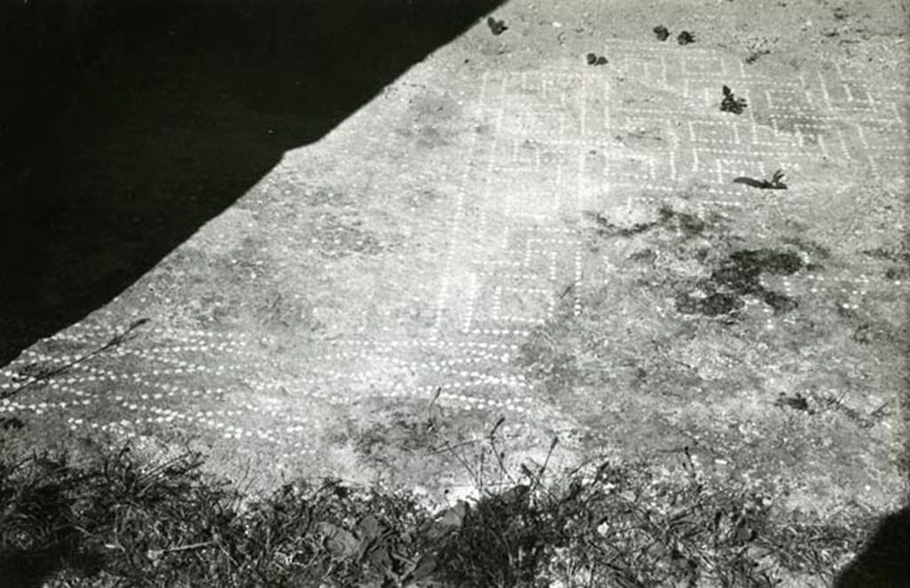 I.13.2 Pompeii. 1974. Domus of Sutoria Primigenia, left ala, floor. Photo courtesy of Anne Laidlaw.
American Academy in Rome, Photographic Archive. Laidlaw collection _P_74_3_7.