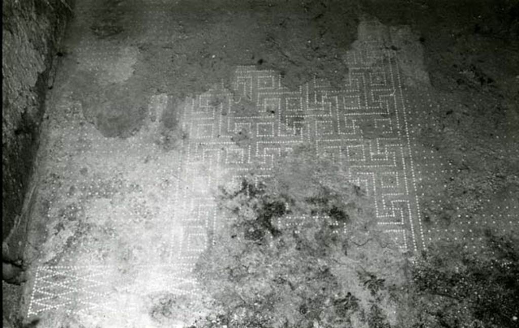 I.13.2 Pompeii. 1974. Domus of Sutoria Primigenia, left ala, signinum floor. Photo courtesy of Anne Laidlaw.
American Academy in Rome, Photographic Archive. Laidlaw collection _P_74_1_18.