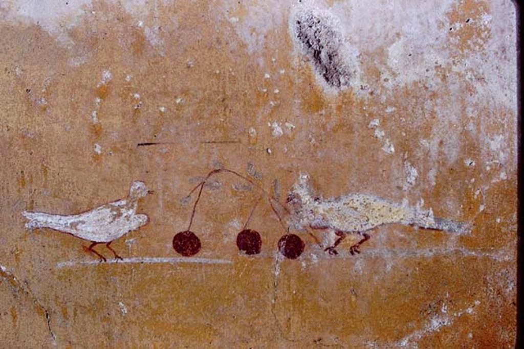 I.13.11 Pompeii, 1968. Vignettes of doves with cherries, from south end of painted panel on west wall. Photo by Stanley A. Jashemski.
Source: The Wilhelmina and Stanley A. Jashemski archive in the University of Maryland Library, Special Collections (See collection page) and made available under the Creative Commons Attribution-Non Commercial License v.4. See Licence and use details. J68f1994
(Note: on the original Jashemski slides, there is no identification mark for the three photos, J68f1993-4-5).