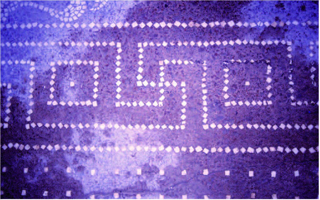 I.14.2 Pompeii. Room H, detail of meander in mosaic floor.
Fig. 247 — Détail du méandre du pavement du salon de la maison I 14, 2 (photographie Véronique Blanc-Bijon).
Voir Véronique Blanc-Bijon : Les Sols in Magali Cullin-Mingaud, 2010. La vannerie dans l'Antiquité romaine: Collection du Centre Jean Bérard 35. Paris. Centre Jean Berard, pp. 233-8, fig. 247.
https://books.openedition.org/pcjb/706