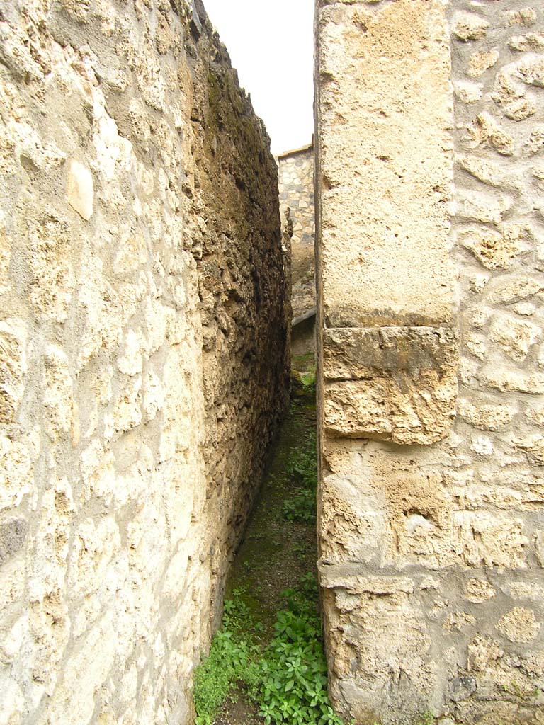 I.14.2 Pompeii. July 2008. Looking south in south-east corner of Garden area M.
Photo courtesy of Guilhem Chapelin.