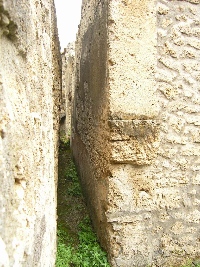 I.14.2 Pompeii. July 2008. Looking south in south-east corner of Garden area M, leading to area G.
Photo courtesy of Guilhem Chapelin.