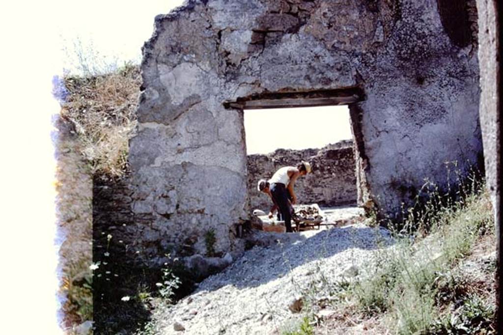 I.14.2 Pompeii. 1972. Looking west through window in atrium, towards garden area and unearthing of triclinium. Photo by Stanley A. Jashemski.
Source: The Wilhelmina and Stanley A. Jashemski archive in the University of Maryland Library, Special Collections (See collection page) and made available under the Creative Commons Attribution-Non Commercial License v.4. See Licence and use details. J72f0703