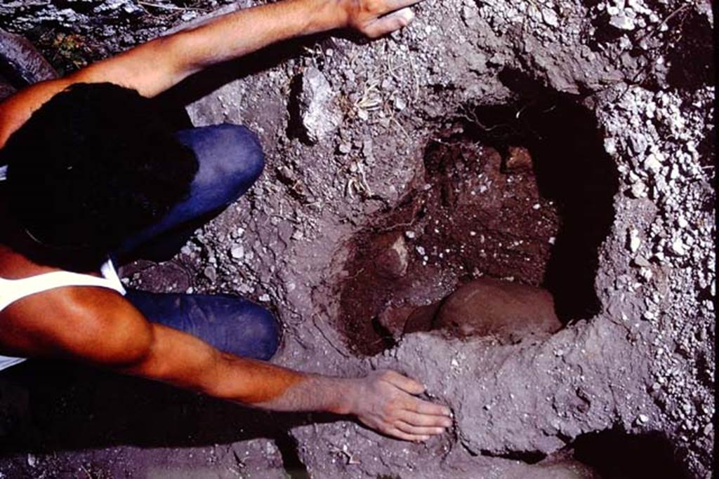 I.14.2 Pompeii. 1972. Finding of the buried amphora. Photo by Stanley A. Jashemski.
Source: The Wilhelmina and Stanley A. Jashemski archive in the University of Maryland Library, Special Collections (See collection page) and made available under the Creative Commons Attribution-Non Commercial License v.4. See Licence and use details. J72f0432