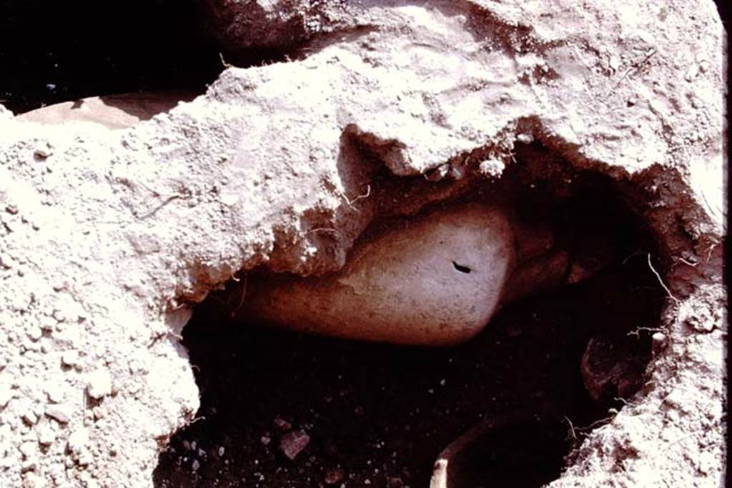 I.14.2 Pompeii. 1972. Discovery of a buried amphora. Photo by Stanley A. Jashemski.
Source: The Wilhelmina and Stanley A. Jashemski archive in the University of Maryland Library, Special Collections (See collection page) and made available under the Creative Commons Attribution-Non Commercial License v.4. See Licence and use details. J72f0480