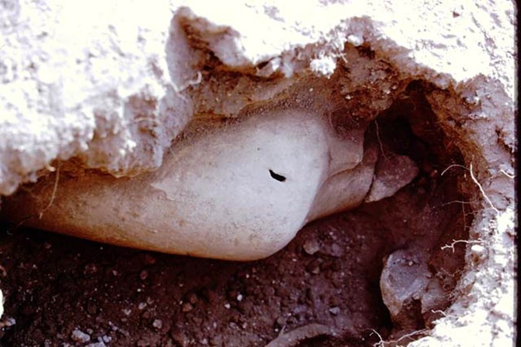I.14.2Pompeii. 1972. Buried amphora. Photo by Stanley A. Jashemski.
Source: The Wilhelmina and Stanley A. Jashemski archive in the University of Maryland Library, Special Collections (See collection page) and made available under the Creative Commons Attribution-Non Commercial License v.4. See Licence and use details. J72f0481