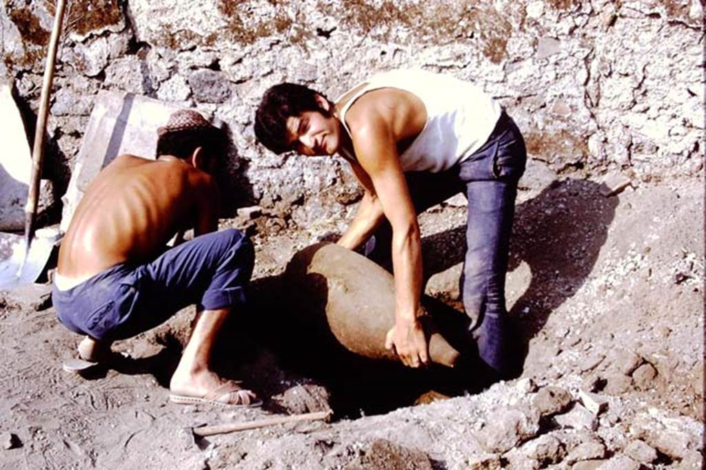 I.14.2 Pompeii. 1972. Removal of buried amphora. Photo by Stanley A. Jashemski.
Source: The Wilhelmina and Stanley A. Jashemski archive in the University of Maryland Library, Special Collections (See collection page) and made available under the Creative Commons Attribution-Non Commercial License v.4. See Licence and use details. J72f0483