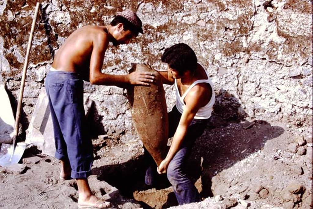 I.14.2 Pompeii. 1972. Amphora out of the lapilli. Photo by Stanley A. Jashemski.
Source: The Wilhelmina and Stanley A. Jashemski archive in the University of Maryland Library, Special Collections (See collection page) and made available under the Creative Commons Attribution-Non Commercial License v.4. See Licence and use details. J72f0484