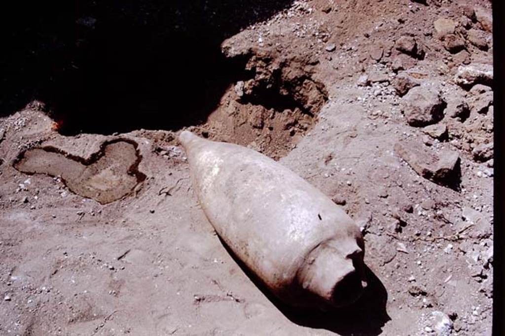 I.14.2 Pompeii. 1972. Amphora laying on ground, next to filled root-cavity. Photo by Stanley A. Jashemski.
Source: The Wilhelmina and Stanley A. Jashemski archive in the University of Maryland Library, Special Collections (See collection page) and made available under the Creative Commons Attribution-Non Commercial License v.4. See Licence and use details. J72f0501