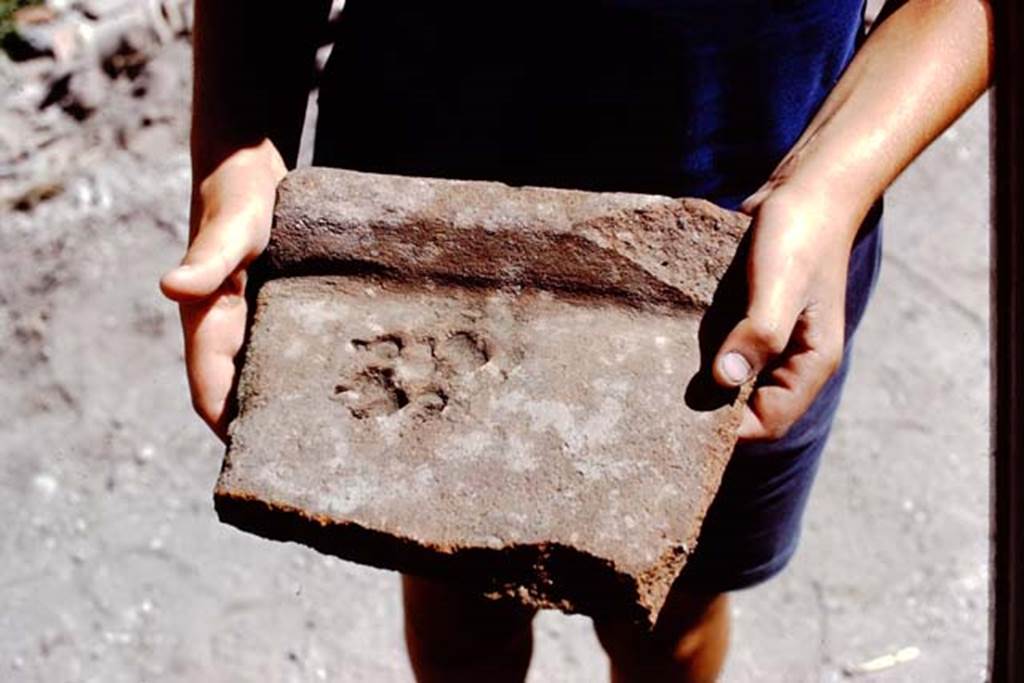 I.14.2 Pompeii. 1972. A roof tile found in the garden which had the paw-print of a dog, which had been pressed into the wet tile before it had been fired. Photo by Stanley A. Jashemski.
Source: The Wilhelmina and Stanley A. Jashemski archive in the University of Maryland Library, Special Collections (See collection page) and made available under the Creative Commons Attribution-Non Commercial License v.4. See Licence and use details. J72f0706