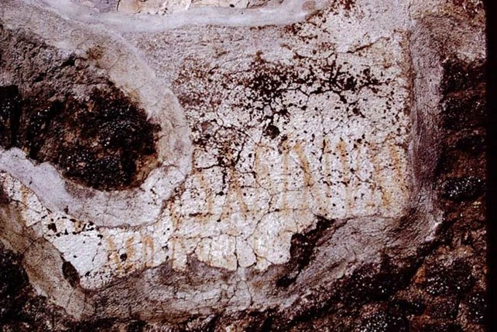 I.14.2 Pompeii. 1972. Painted graffiti. The words SABINVM AED are visible.
Photo by Stanley A. Jashemski.
Source: The Wilhelmina and Stanley A. Jashemski archive in the University of Maryland Library, Special Collections (See collection page) and made available under the Creative Commons Attribution-Non-Commercial License v.4. See Licence and use details.
J72f0546